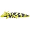 Zebra Axolotl
