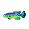 Badis