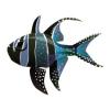 Aqua Banggai Cardinalfish