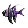 Violet Banggai Cardinalfish