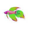 Fuchsia Cheetah Betta