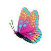 80s Butterfly