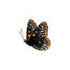 Baltimore Butterfly