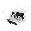 Black Joker Butterfly