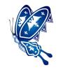 Blue Fantasy Butterfly
