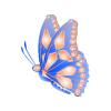 Blue Glow Butterfly