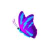 Blue Streak Butterfly