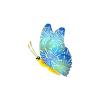 Bluewing Firework Butterfly