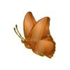 Bronze Metallic Butterfly