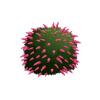 Buddleja Plant