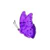 Cosmic Crystal Butterfly