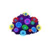 Colorsplash Butterfly Plant