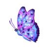 Cosmos Butterfly