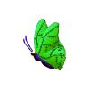 Frankenstein Butterfly