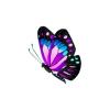 Galaxy Splash Butterfly