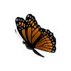 Glowing Monarch Butterfly