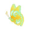 Golden Glow Butterfly