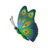 Green Peacock Butterfly