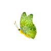 Greenwing Firework Butterfly