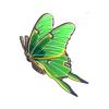 Luna Moth