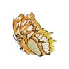 Malachite Butterfly