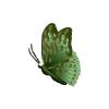 Marsh Butterfly