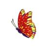 Mexican Butterfly