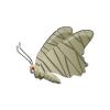 Mummy Butterfly