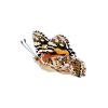 Painted Lady Butterfly