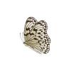 Paper Kite Butterfly