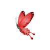Passion Butterfly