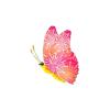 Pinkwing Firework Butterfly