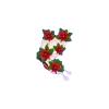 Poinsettia Butterfly