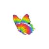 Rainbow Butterfly
