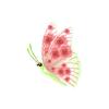 Rose Butterfly