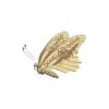 Scarab Egyptian Butterfly