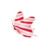 Strawberry Candy Butterfly