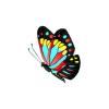 Teal Splash Butterfly