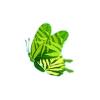 Tropical Fern Butterfly