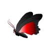 Vampire Butterfly