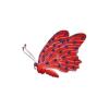 Victory Butterfly