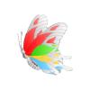 White Colorstreak Butterfly