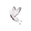 White Exotic Butterfly