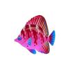 Blue Stripe Butterflyfish