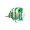 Apple Butterflyfish