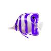 Indigo Butterflyfish