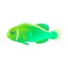 Day-Glo Skunk Clownfish