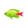Lime Colored Damsel