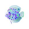Arctic Discus