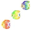 Disco Discus